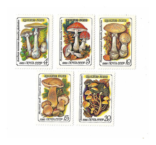  Rusia 1986 Hongos Venenosos Serie 5v Mint Completa 5304/08