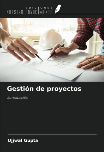 Libro: Gestión Proyectos: Introducción (edición En Español)