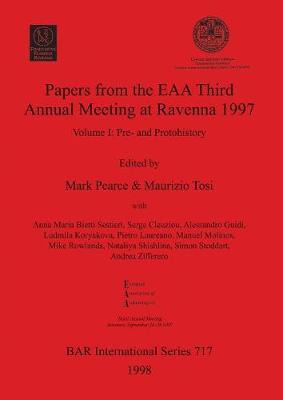 Libro Papers From The European Association Of Archaeologi...