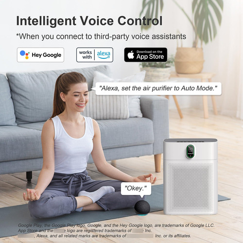 Purificador De Aire Para Habitaciones Grandes Con Wi-fi Y Al Color