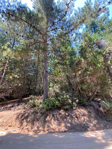 En Venta Excelente Sitio A 5 Minutos De Puertecillo