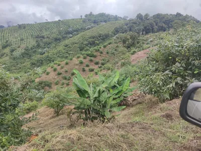Finca en venta