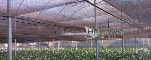 Sombrite Preta 50% - 2 Metros X 50 Metros