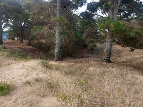 Imagen 5 de 15 de Terreno En Venta En Las Gaviotas