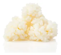 Comprar Kéfir\u002Fbúlgaros Hongos De Leche Yogur Lo Mejor Para La Salud 