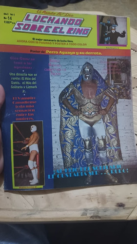 Mil Mascaras  Revista Luchando Sobre El Ring Poster El Perro