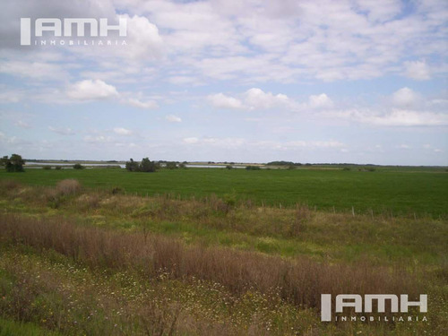 Campo - General Madariaga Campo En Venta 90 Hectáreas Gral Madariaga