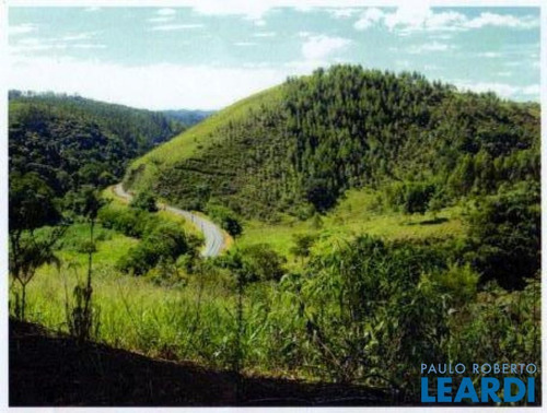 Imagem 4 de 15 de Area - Luiz Carlos - Sp - 431353