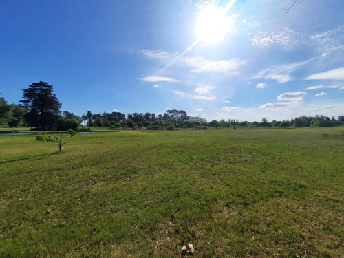 Imagen 4 de 6 de Lote La Reserva Cardales Golf
