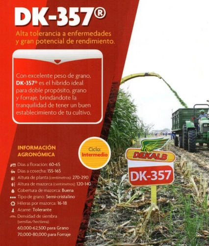 Semilla De Maiz Hibrido Blanco Dk 357 Forrajero Silo 1kg
