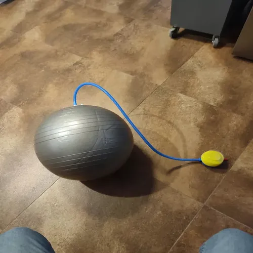 Balon Pilates 45 Cms Tecnoclass