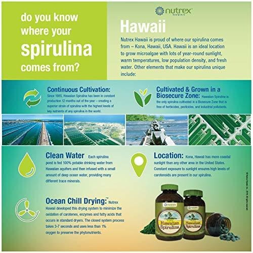 Imagen 9 de 11 de Spirulina Pura Hawaiana - Tabletas De 500 Mg 400 Recuentos -