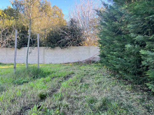 Terreno Venta Barrio Santa Amelia, V. Del Pino
