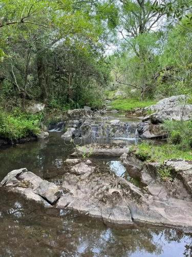 Campo En Carape - Con Hermosa Cañada - Oportunidad !!!!!