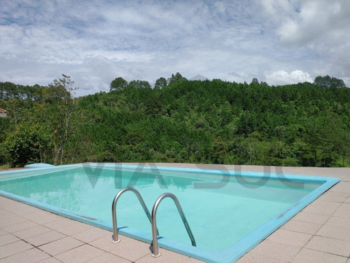 Imagem 12 de 30 de Um Belíssimo Recanto Com Casa No Alto Da Colina Com Vista Panorâmica!!! - 16 - 69196525