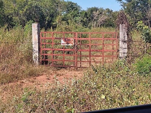 Hermoso Rancho A 4km De Tekit, Dentro Del Círculo De Cenotes