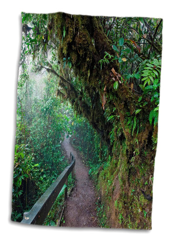 3d Rose Path-reserva Del Bosque Nuboso Monteverde-costa Rica