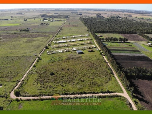Chacra 10 Has En Venta - Monoambiente En Sauce