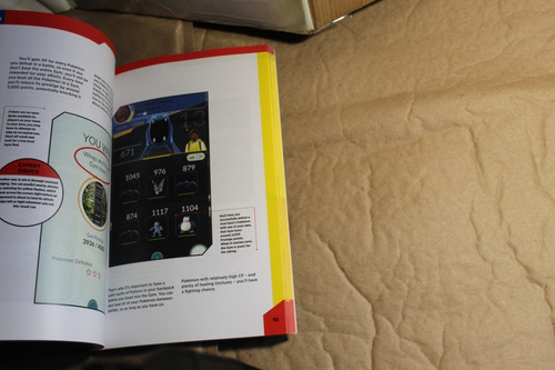 Set Libros Pokemon Go Guia Campo Field Guide Battle (Usado)