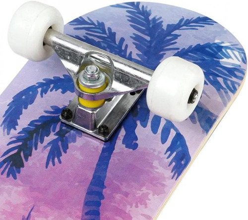 Wilver Patinetas Completas Para Principiantes Pro 31 Pulgada