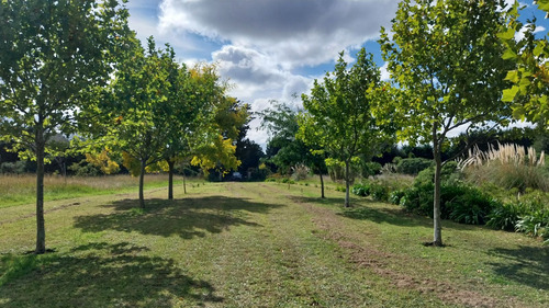 Venta - Casa Quinta En La Peregrina, Sierra De Los Padres