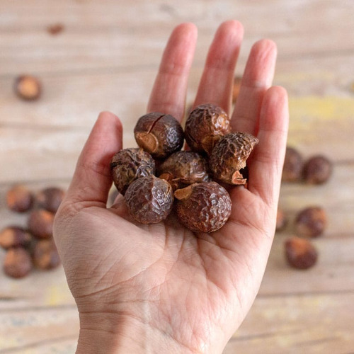 Arbol Nueces De Lavado / Sapindus Saponaria / Jabon Natural