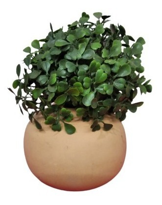 Planta Buxus Artificial Con Maceta Ceramica