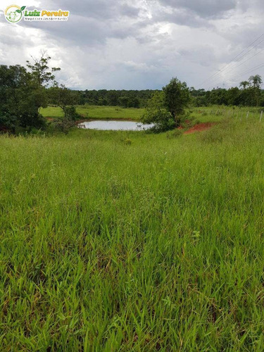 Imagem 6 de 8 de Fazenda À Venda Em Dois Irmãos Do Buriti - Ms - 375 Hectares - 2132
