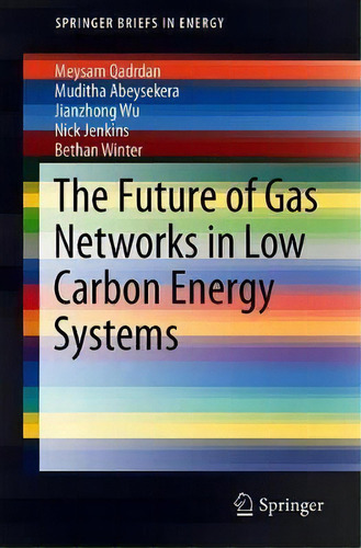 The Future Of Gas Networks : The Role Of Gas Networks In A Low Carbon Energy System, De Meysam Qadrdan. Editorial Springer International Publishing Ag, Tapa Blanda En Inglés