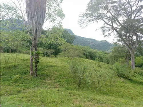 Vendo Lotes En La Pintada Con Vista A Farallones Desde 2.703 M²