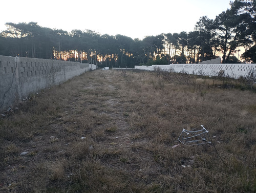 Oportunidad Para Constructores E Inversores En Terreno Unico