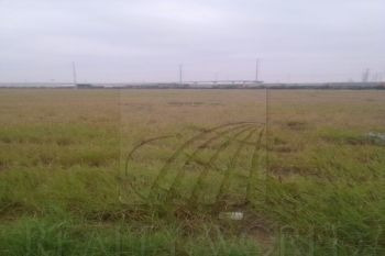 Imagen 5 de 5 de Terrenos En Renta En Agrarista, Salinas Victoria