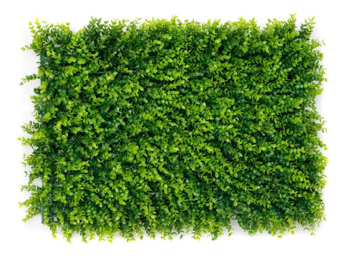 Jardin Vertical Artificial Muro Verde Modelo  Pilcomayo 10u