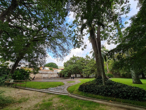 Imagen 2 de 14 de 456202 Anthony Marquez 0424-4338703 Venta Terreno El Trigal