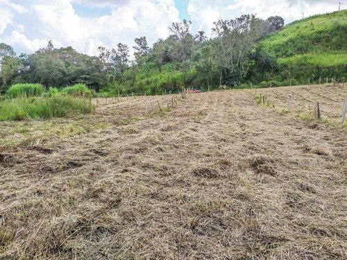 Imagem 7 de 14 de Atibaia 800 M² Escriturado Ac/ Veículos | Lp0055