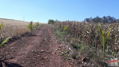Imagem 15 de 30 de Chácaras_sítios_fazendas Para Venda - 13650.3266
