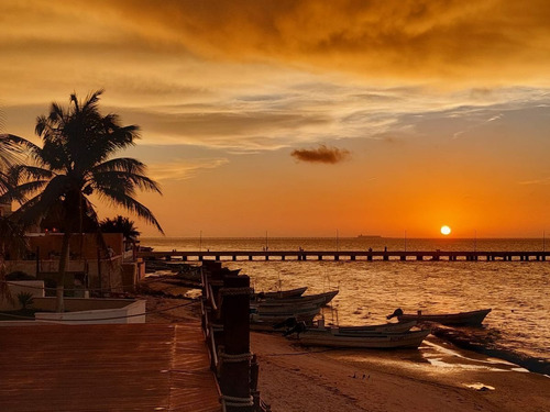 Imagen 2 de 30 de Departamento En Venta Playa Chicxulub Puerto