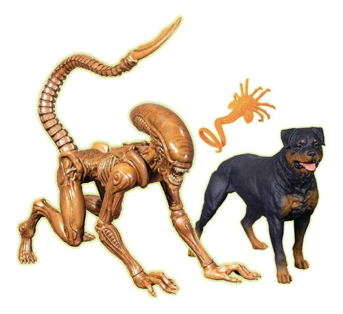 Alien Xenomorph Edición Especial Runner Coleccionable Terror