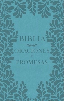 Biblia Oraciones Y Promesas Nvi Mujer