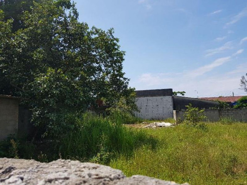 Terreno De Frente A Rodovia No Grandesp - Itanhaém 3885 Npc