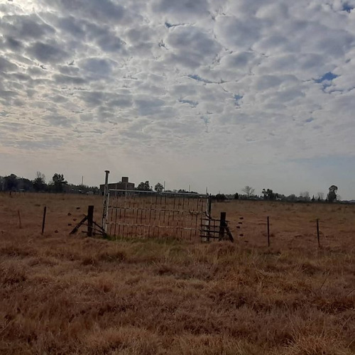 Imagen 5 de 9 de Lote En Venta En San Vicente