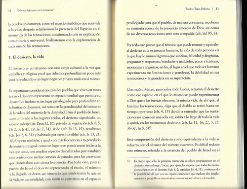 No Nos Dejes Caer En La Tentacion: Reflexiones Biblicas Sob
