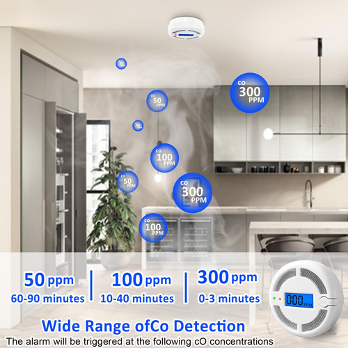 Detector De Monoxido De Carbono Portatil Con Pantalla Led