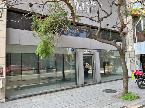 Imagen 2 de 14 de Impresionante Edificio Corporativo Con Varias Oficinas Y Local De 12m. Sobre Libertador.