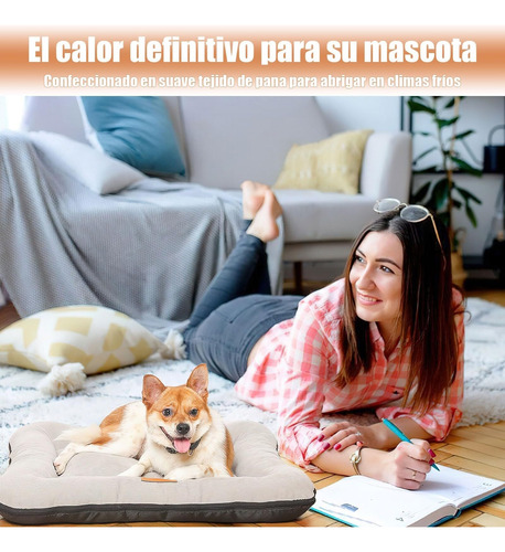 Cama For Perros Medianos, Alfombra Suave Y Esponjosa For