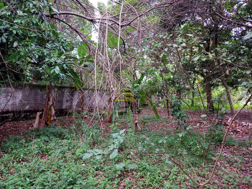 Imagem 13 de 21 de Terreno - Ref: Scv11924
