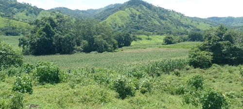 Oportunidad De Inversión En Chiapas: Rancho De 10 Hectáreas Con Documentación Al Día Y Plusvalía En Crecimiento