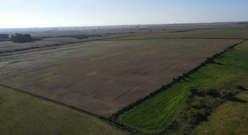 Campo Agricola De 21.5 Has En Corrales (antelo)
