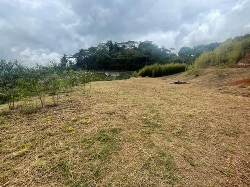 Lote En Venta En Calima. Cod V11397
