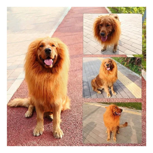 Disfraz De Melena Para Perro Y León, Ingenioso Y Ajustable C